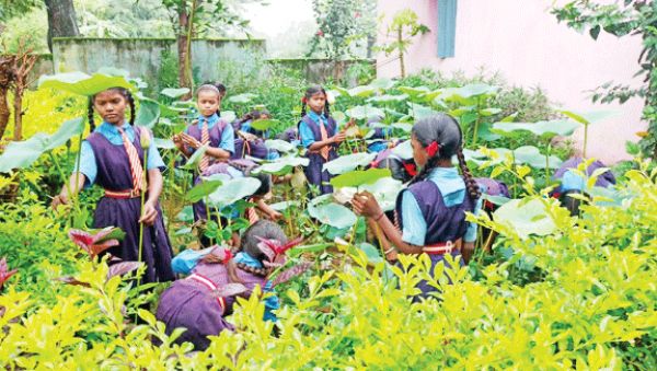 शिक्षा सप्ताह पर वनमंत्री केदार के क्षेत्र में एक पेड़ मां के नाम पौधारोपण