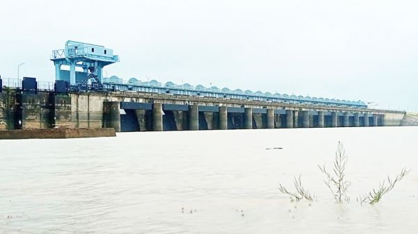 गंगरेल 80 फीसदी भरा, 82 सौ क्यूसेक आवक 