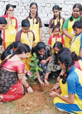 स्कूल में विद्यार्थियों और शिक्षकों ने किया पौधारोपण