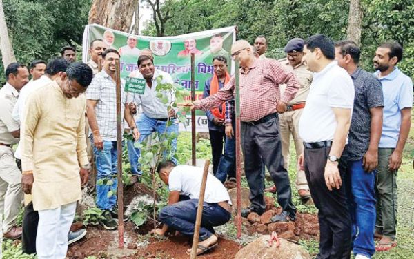 वन विभाग ने किया पौधारोपण, 100 से अधिक पौधों का हुआ वितरण