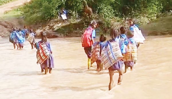 जान जोखिम में डाल नदी पार कर स्कूल जाते दिखे बच्चे