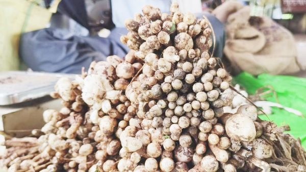 बाजार में देशी मशरूम की बहार