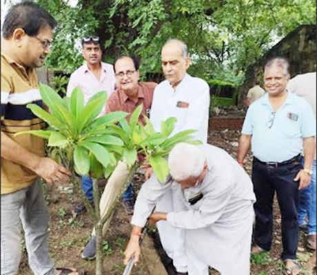 बालाजी मंदिर समिति ने किया पौधरोपण