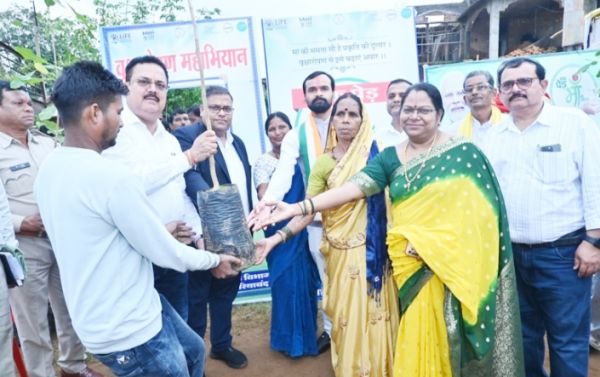 कलेक्टर ने महिलाओं को बांटे पौधे, देखभाल की अपील