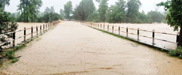 सिंदूर नदी उफान पर, रामानुजगंज-वाड्रफनगर मार्ग बाधित
