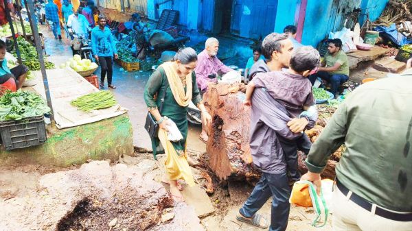  पेड़ गिरने से ग्राहकों व दुकानदारों की बढ़ी परेशानी 
