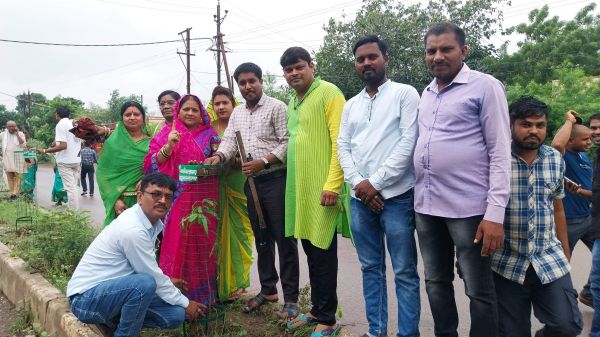 हरेली पर पौधरोपण