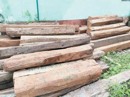 सागौन चिरान की तस्करी,  2 गाडिय़ां जब्त