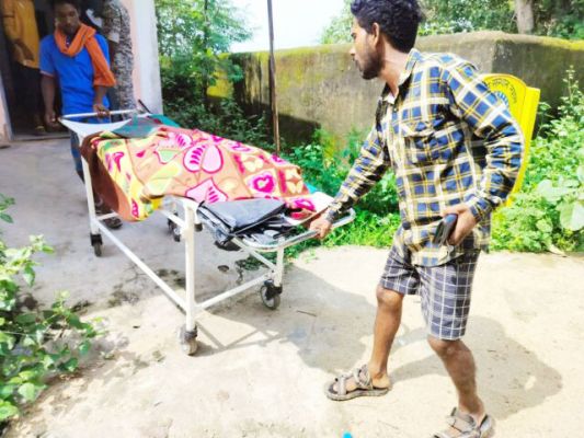 सांप ने मासूम को काटा, मौत  