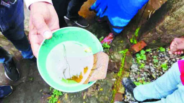  दो वार्डों के 15-20 घरों में मिले डेंगू के लार्वा