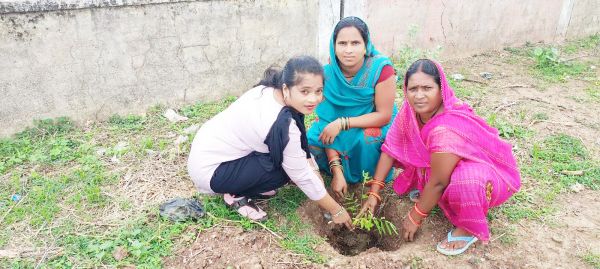 जिले में चल रहा वृक्षारोपण महाभियान