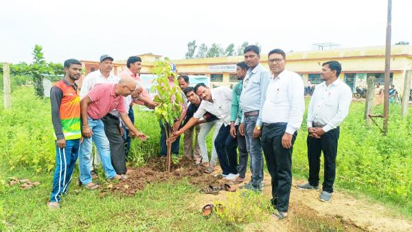 मानिकचौरी में सामूहिक पौधारोपण