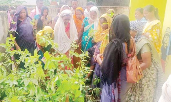 महतारी वंदन हितग्राहियों को बांटे पौधे