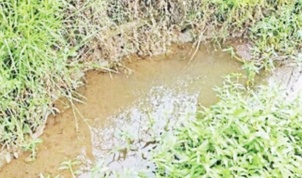 दूषित पानी से फैला डायरिया, 13 का इलाज शुरू 