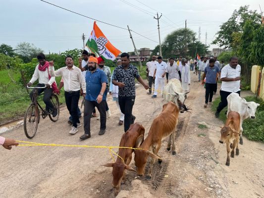 कांग्रेस का गौ सत्याग्रह