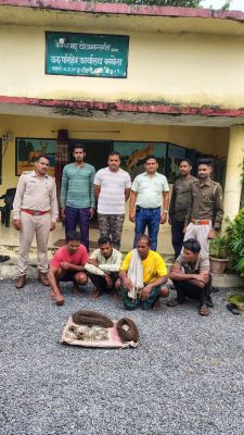 गोमर्डा अभ्यारण में करंट से बायसन की मौत, 4 बंदी