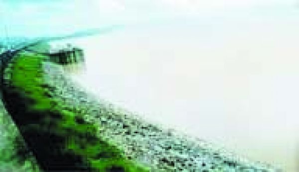 जिले में औसत 737 मिली की तुलना में 900.1 मिली मीटर बारिश