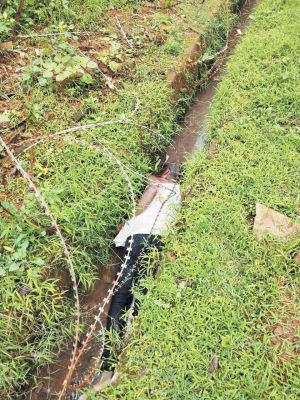 नाली में मिली युवक की लाश