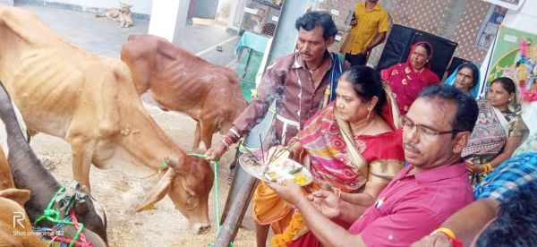 जनपद अध्यक्ष ने किया पशुपालकों का सम्मान, चरवाहों को दिया मानदेय