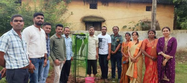 गंज स्कूल में पौधरोपण