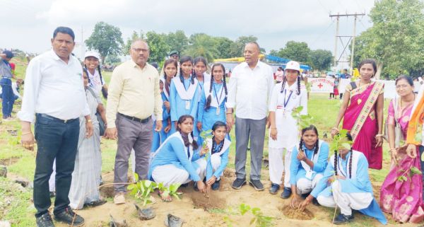 क्षेत्र को हराभरा, तरोताजा रखना है तो पेड़ लगाना जरूरी-अजय