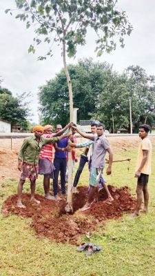 जन्माष्टमी महोत्सव पर पौधरोपण