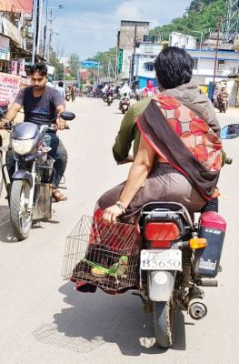 वन विभाग कार्यालय पहुंच रहे पक्षीपालक