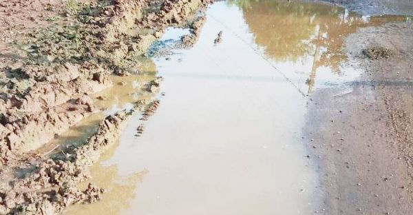 काम में लापरवाही, जल जीवन मिशन के 5 ठेकेदार ब्लैक लिस्टेड 