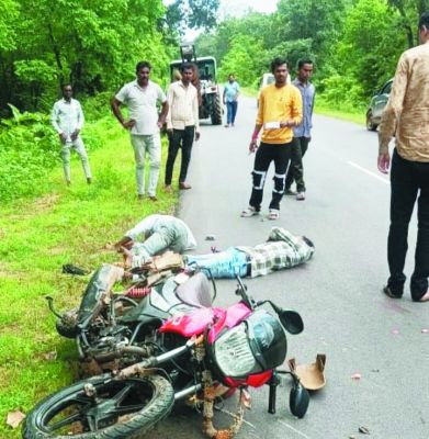 तीजा लेने आ रहे भाई और दोस्त की सडक़ हादसे में मौत