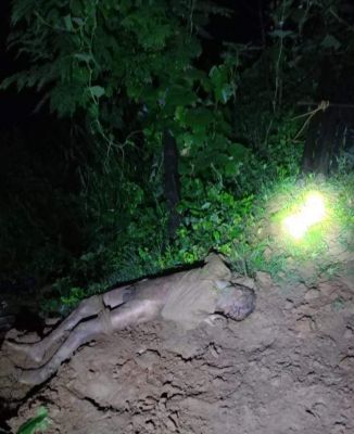 हाथी के हमले से ग्रामीण की मौत