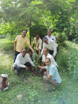 भामाशाह साहू सद्भाव समिति ने किया पौधरोपण