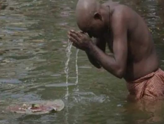 पितरों को किया याद : कुश से जल, तिल व उड़द दाल अर्पित किए 