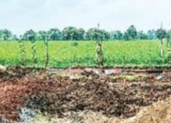 कोटवारी जमीन बेची, खरीददार कर रहा अवैध निर्माण 