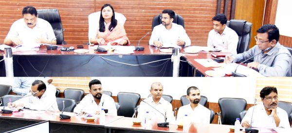 कलेक्टर ने राजनीतिक दलों की ली