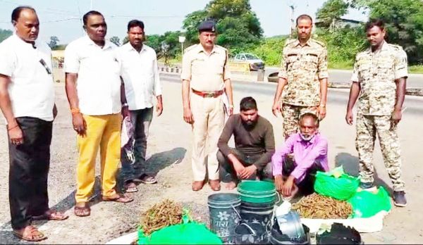 गांजा तस्करी, दो जेल दाखिल