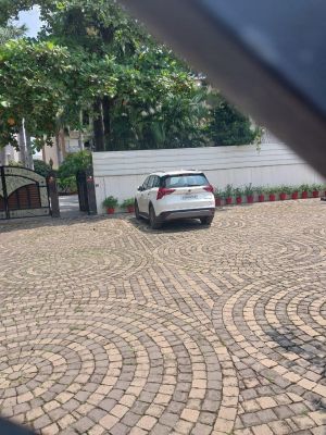 बेजूबान की जान लेने वाला रईसजादा 24 घंटे बाद भी पकड़ से बाहर