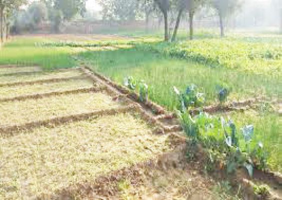 बंगाल की खाड़ी में सिस्टम बनने से जल्द झमाझम बारिश के आसार
