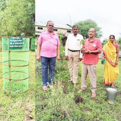 माता -पिता की स्मृति में लगाए पौधे