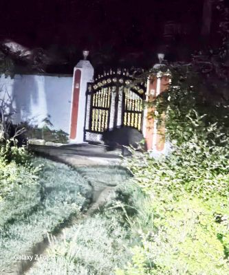 पिथौरा के पास गांवों में आधा दर्जन भालुओं का डेरा