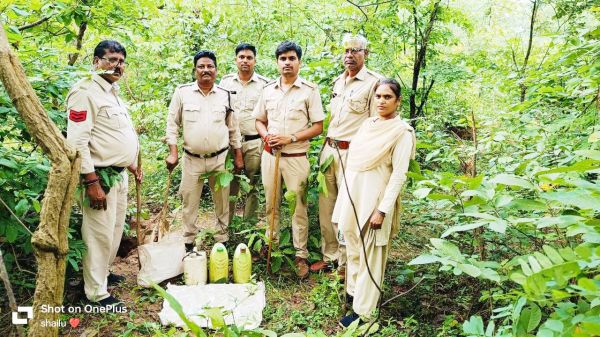 भालुचुवा के जंगल से 26 लीटर अवैध महुआ शराब जब्त