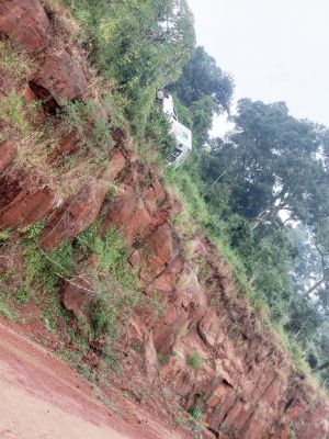 पशु विभाग का मोबाइल वैन दलदली के बंजारी घाट में गिरा