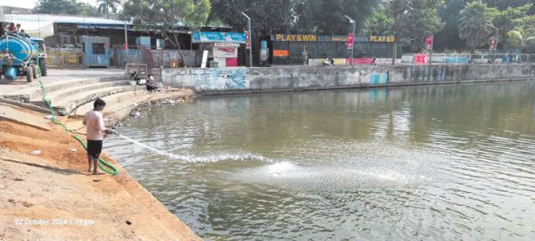 तेलीबांधा तालाब में एक बार फिर से मछलियां मरने लगीं