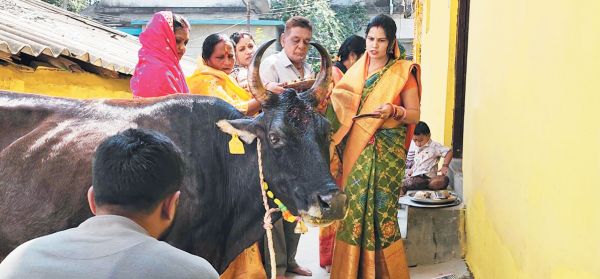 दीपोत्सव की धूम, 2 दिन मना लक्ष्मी पूजन, गोवर्धन पर्व का उल्लास