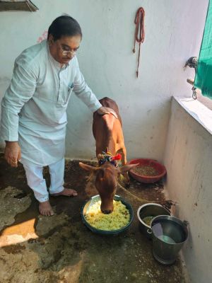 गौवंश के प्रति श्रद्धा, भक्ति  और समर्पण का पर्व है  गोवर्धन पूजा-बजाज