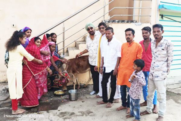 पूर्व पार्षद ने गौ माता को खिलाई गुड़-खिचड़ी