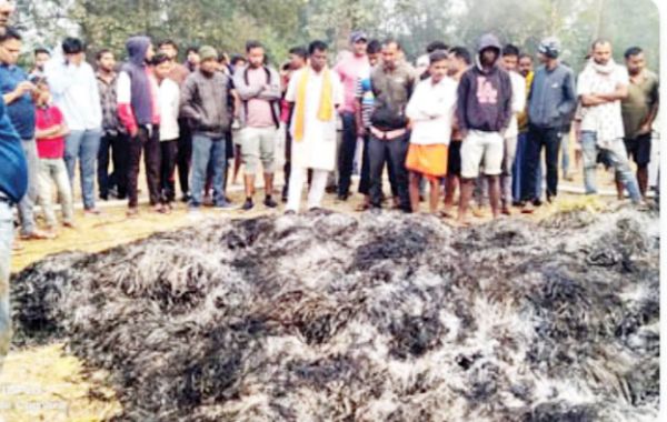 किसान के घर लगी आग, 5 मवेशी मरे  100 बोरी चावल-पैरावट खाक
