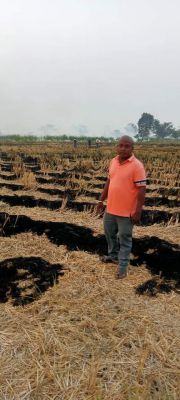 खरीफ की धान कटाई के साथ शुरू हुआ पराली जलाना, एक किसान पर कार्रवाई