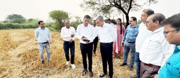 आनंदगांव में धान की गिरदावरी सत्यापन करने कलेक्टर खेत में उतरे