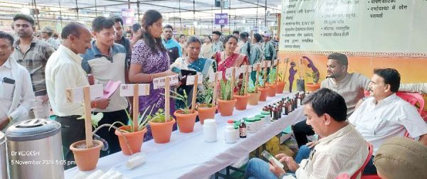  राज्योत्सव में आयुष का स्टॉल रहा आकर्षण का केंद्र