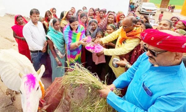 गोपाष्टमी पर गौ माता की पूजा कर जिपं सदस्य प्रज्ञा ने खिलाया हरा चारा 